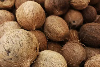 Whole coconuts piled together, husk still rough and brown.
