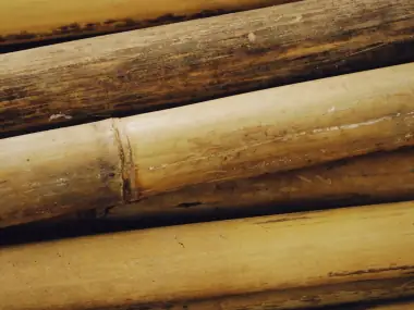 Bamboo poles side by side, the grain and nodes in close view.