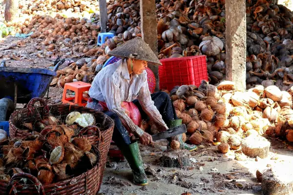 A coconut processing yard, shells and husks piled high, a worker sorting them by hand at the foot of the pile.