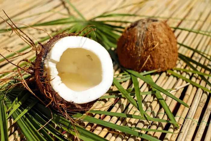 A coconut split open, the white flesh and the hard inner shell wall visible at the cut.
